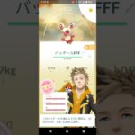 ポケモンＧＯ　パッチールFFF