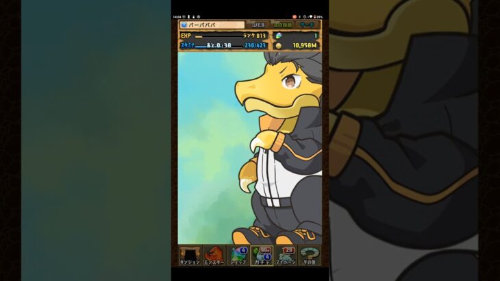 【13連】ガチャ・ガチャ・ガチャ【パズドラ】