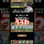 【撮影中恒例】いつもこのタイミングで便意を催す猫シン君 #たかし #パズドラ