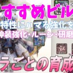 【メメントモリ】キャラ・編成ごとのビルドを解説、神装強化、ルーン、研磨、装備の強化全般です