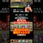 【天元パーティです】誰が何を言おうと天元パで風雲チャレンジに挑みます #たかし #パズドラ