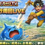 [ドラクエウォーク]朝活☀️レベリングするぞー！新規勢さん・復帰勢さんお気軽に雑談・質問して下さい💪