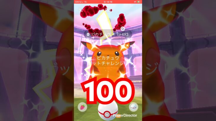 キョダイピカチュウ🌟#ポケモンgo