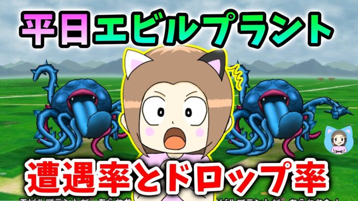 平日のエビルプラントの遭遇率とドロップ率を調べた結果…これはひどいｗｗ【ドラクエウォーク_vol.542】