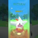 【ポケモンGO】シャドウラグラージでぶち抜く！【ジャングルカップ】【バトルリーグ】#shorts #ポケモンgo #goバトルリーグ #gbl #ジャングルカップ #pokemongo