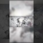 【メメモリ】メメモリで始めて10連引いてみた！#メメモリ #メメントモリ