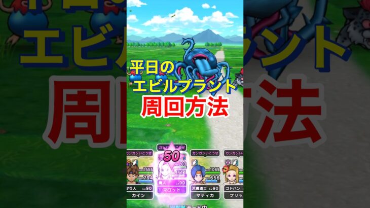 【ドラクエウォーク】平日のエビルプラントお手軽フルオート周回方法！