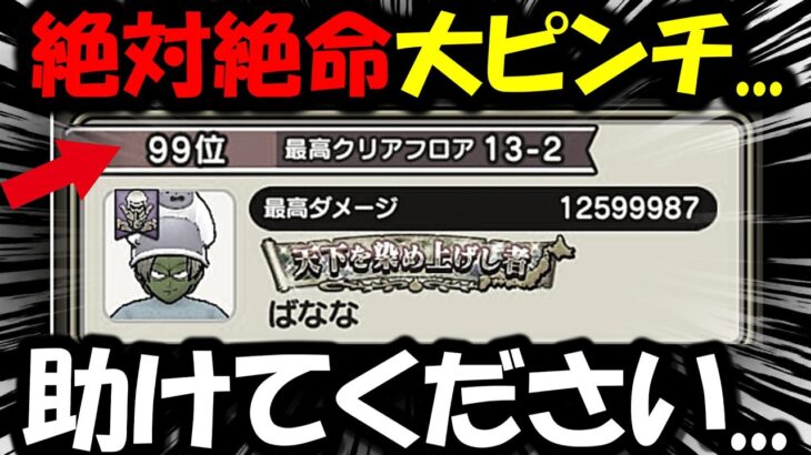 【ドラクエウォーク】緊急ライブ配信・・絶体絶命大ピンチ・・最後目で足掻いて上位狙う！！