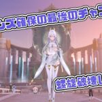 【原神】フリンズ確保のため螺旋を破壊します。