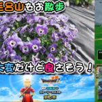 【ドラクエウォークLive】6.5周年WALKフェス DQⅦ ReWALKイベント 第２章と越生毛呂山散歩【ツイキャス、ニコ生同時配信】