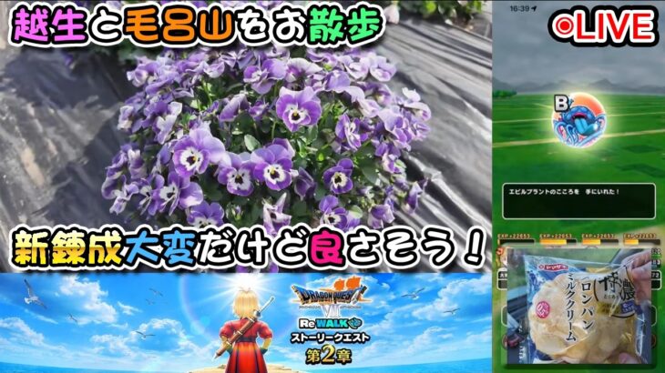 【ドラクエウォークLive】6.5周年WALKフェス DQⅦ ReWALKイベント 第２章と越生毛呂山散歩【ツイキャス、ニコ生同時配信】