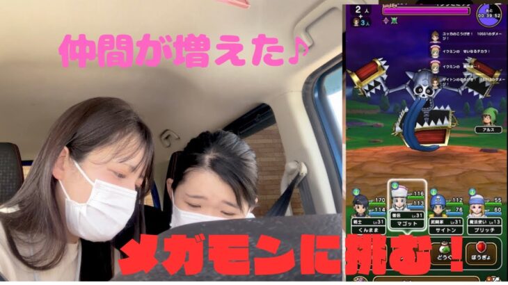 〈ドラクエウォーク〉仲間を増やしてメガモン挑戦！ゆんちゃん頼りの待機で応援📣