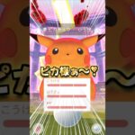 Gピカチュウ８戦♪優勝したぁ♡【ポケモンGO】