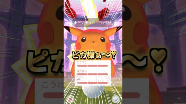 Gピカチュウ８戦♪優勝したぁ♡【ポケモンGO】