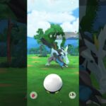 ちっちゃいブラックキュレム！ #shortvideo #ポケモンgo #ポケモン