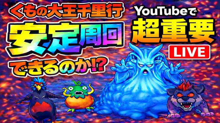 【ドラクエウォーク】くもの大王千里行は安定周回できる？ガチ検証LIVE【dqw】