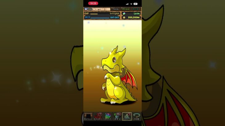 パズドラ ランクメモリアルガチャ