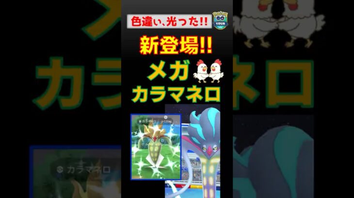 色違い！【メガカラマネロ！スーパーメガレイド】 #ポケモンgo #pokemongo #ポケモン #メガシンカ #カラマネロ #カイロス #gotour