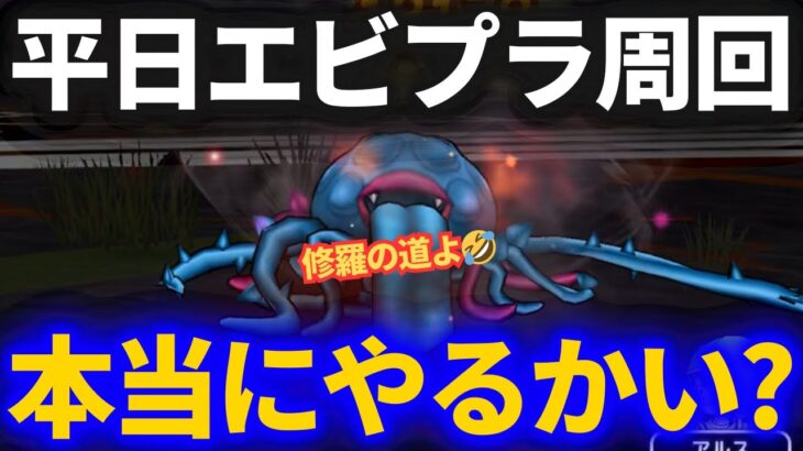 【ドラクエウォーク】平日エビルプラント周回、本当にやるのかい？コレが現実です……