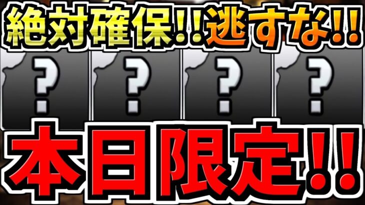 【本日(14日)限定】逃すと絶対後悔します！数年分の差が開く今後のパズドラ人生に大きく関わる重要なことです！ガチで全パズドラーに見て欲しい！徹底解説【パズドラ】