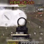 【荒野行動】終盤戦はムズい‼️ シングルゲリラ