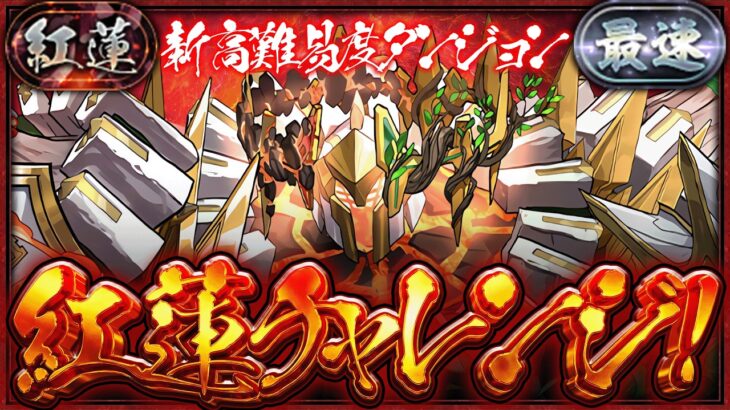 【パズドラ生放送】新ギミックが来る！！新称号「紅蓮」チャレンジ！！！！