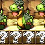 【御三家】ブラッキィと愉快な仲間たちの冒険？【パズドラ】