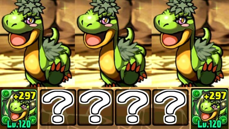 【御三家】ブラッキィと愉快な仲間たちの冒険？【パズドラ】