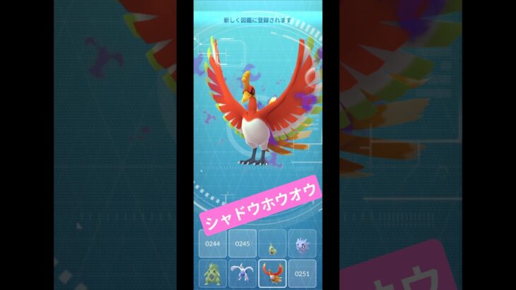 【ポケモンGO】シャドウホウオウレイド CP2207で個体値100％ #ポケモン #pokemon #pokemongo