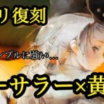 【メメントモリ】ミフリ復刻！ソーサラー黄色の時代？無微課金の評価ですことね【メメモリ】