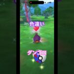 #色違い #ダンゴロ #ポケモンgo #pokemongo