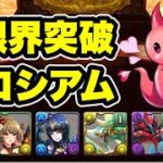【仲間はずれを＋上げ】落ちコン無し‼️＋限界突破コロシアム 周回編成・立ち回り紹介！！【#アイドルマスターシンデレラガールズコラボ】【#パズドラ/パズル&ドラゴンズ】