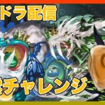 【パズドラ】風雲やってなかったからする（初見）