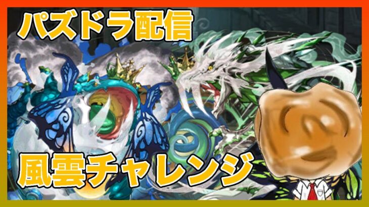 【パズドラ】風雲やってなかったからする（初見）