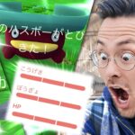 ぇ？！色違い100？！マジですかぁああ！？【ポケモンGO】