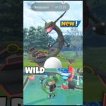 First Ever✨️Wild Rayquaza Spawn in Pokemon Go