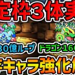 ミニキャラ新キャラ&既存強化解説！確定枠は3体実装！100万MPキャラも強化決定！【パズドラ】