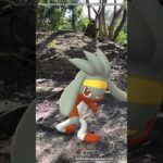 ヒバニー｜Scorbunny｜ラビフット｜Raboot｜エースバーン｜Cinderace｜ShinyPokémon【ポケモンGO】PoKeMoN GO AR｜AR動画｜