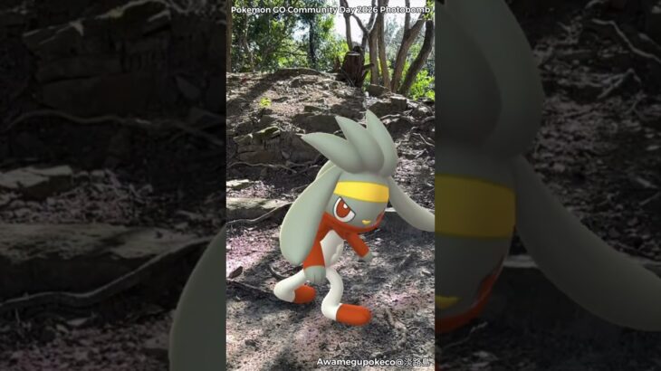 ヒバニー｜Scorbunny｜ラビフット｜Raboot｜エースバーン｜Cinderace｜ShinyPokémon【ポケモンGO】PoKeMoN GO AR｜AR動画｜