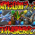 【神運営】史上初の神強化決定！第3属性大量追加フラグがヤバすぎる【パズドラ】
