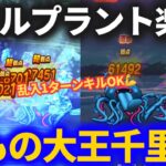 【ドラクエウォーク】2パン多めで超快適！くもの大王覚醒千里行！！【エビルプラントも1ターンフルオートでOK】