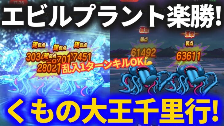 【ドラクエウォーク】2パン多めで超快適！くもの大王覚醒千里行！！【エビルプラントも1ターンフルオートでOK】