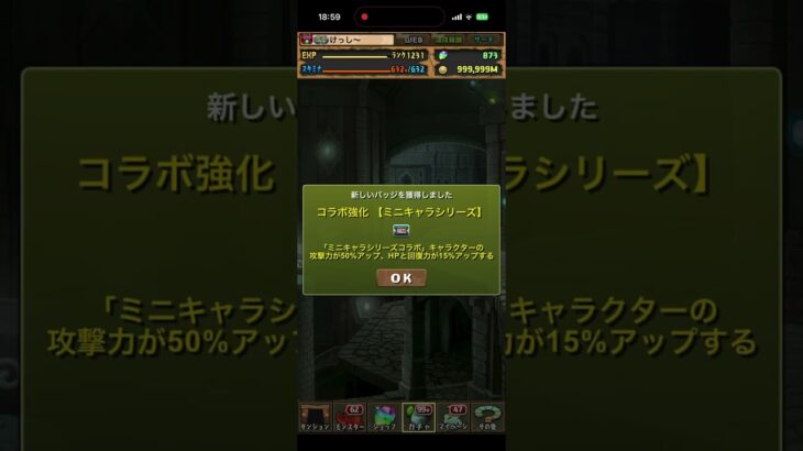 ミニキャラシリーズガチャ　10連　#パズドラ　#パズル　#ガチャ　#ミニ　#シリーズ