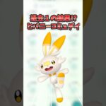 【ポケモンGO】ヒバニーコミュデイ結果発表！過去最高の結果に歓喜😭 #ヒバニー #communityday #shorts