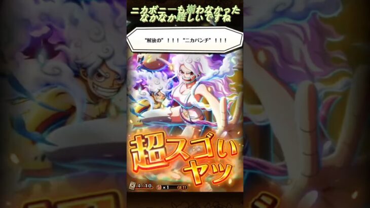 【トレクル】ボニーはでたが、それ以外でず（スタダガチャ）