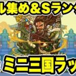 【メダル集め＆Sランク用】ミニ三国ラッシュ 周回編成・立ち回り紹介！！【#パズドラ/パズル&ドラゴンズ】