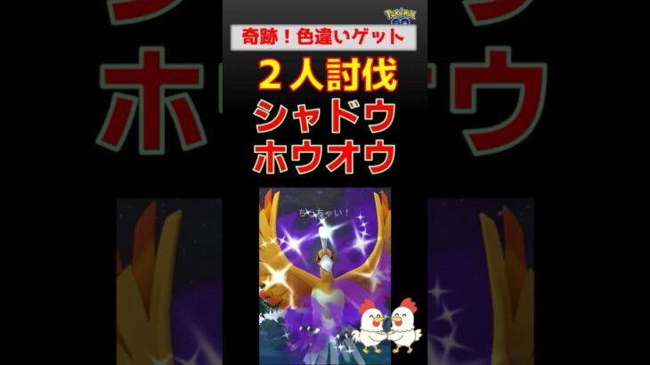 激レア色違い！【シャドウホウオウ！2人討伐】 #ポケモンgo #pokemongo #ポケモン #ロケット団 #ホウオウ #バンギラス #ドサイドン