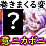 [トレクル]ワールドクルーズに向け! 海賊祭! 弱いと思って油断すると「あのキャラ」にやられるので要注意!? 変異型巻き巻きニカボニー編成!? [OPTC][pirate festival]