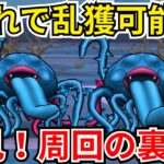 【ドラクエウォーク】これでエビルプラントのこころを乱獲！！！周回時に役立つ裏技を使ってエビルプラントを乱獲しよう！！！