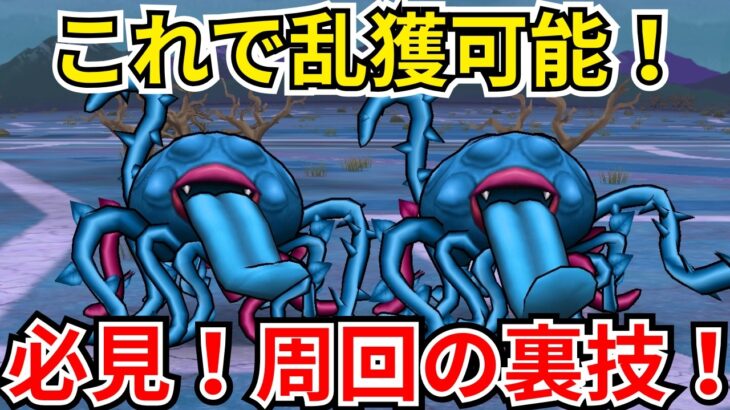 【ドラクエウォーク】これでエビルプラントのこころを乱獲！！！周回時に役立つ裏技を使ってエビルプラントを乱獲しよう！！！